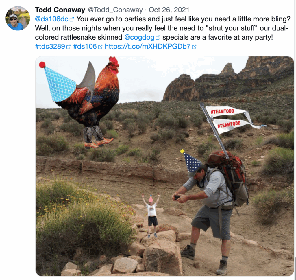 Tweet that includes soome very strange image manipulation. It shows an man taking a picture of a miniature person with a floating chicken in a party hat and cowboy boots. 