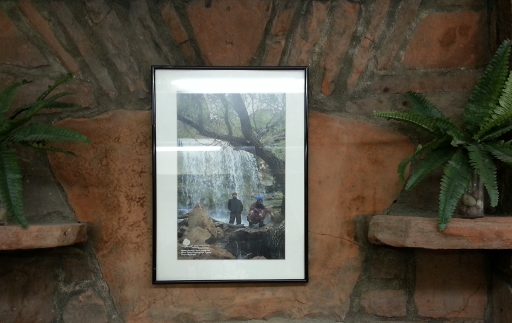 A framed photograph of two students below a waterfall. The framed photograph is large and hanging agains a brick wall with two plants on the sides.
