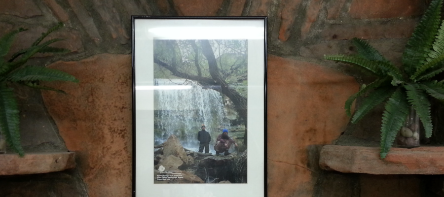Printed and framed poster of two students under a waterfall. The framed print is against a brick wall with green plants next to it.